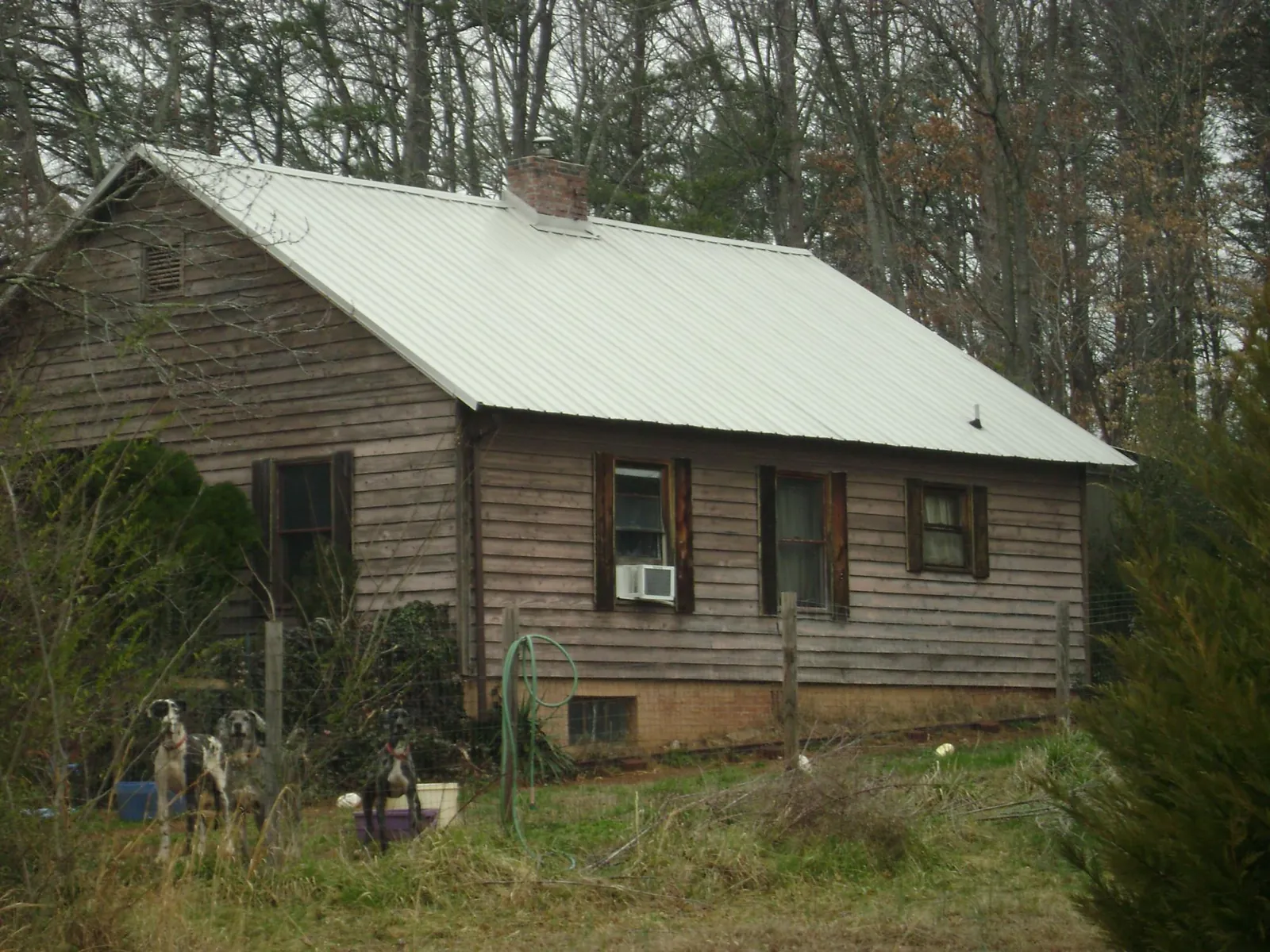 White metal roof on an old wood sided farmhouse, from a Asphalt Shingle Roof Repair job in White Bird